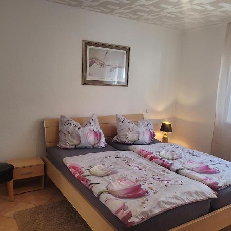 Ferienwohnung Jasmin In Schoenau Bei Heidelberg Fewo 2 Schonau  Kültér fotó