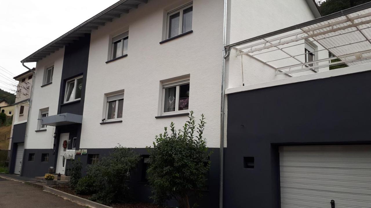 Ferienwohnung Jasmin In Schoenau Bei Heidelberg Fewo 2 Schonau  Kültér fotó